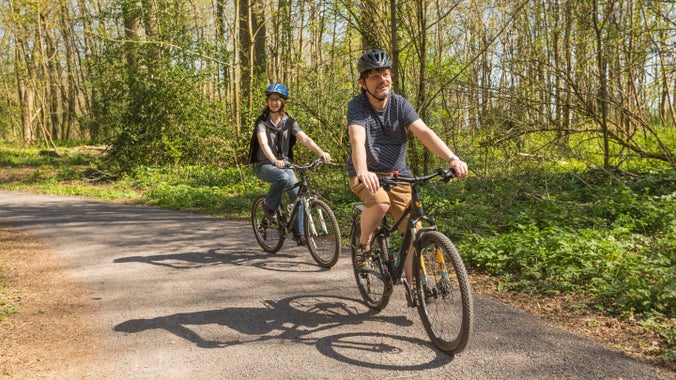 Cyclists exploring the new woodland trail at Kingston Lacy, Dorset